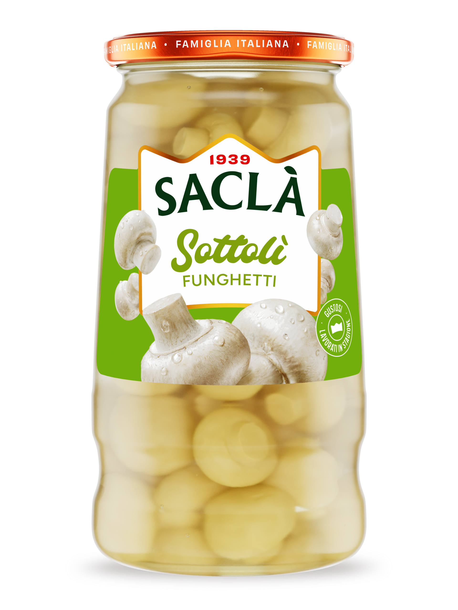 MUSHROOMS IN OIL — 290 g