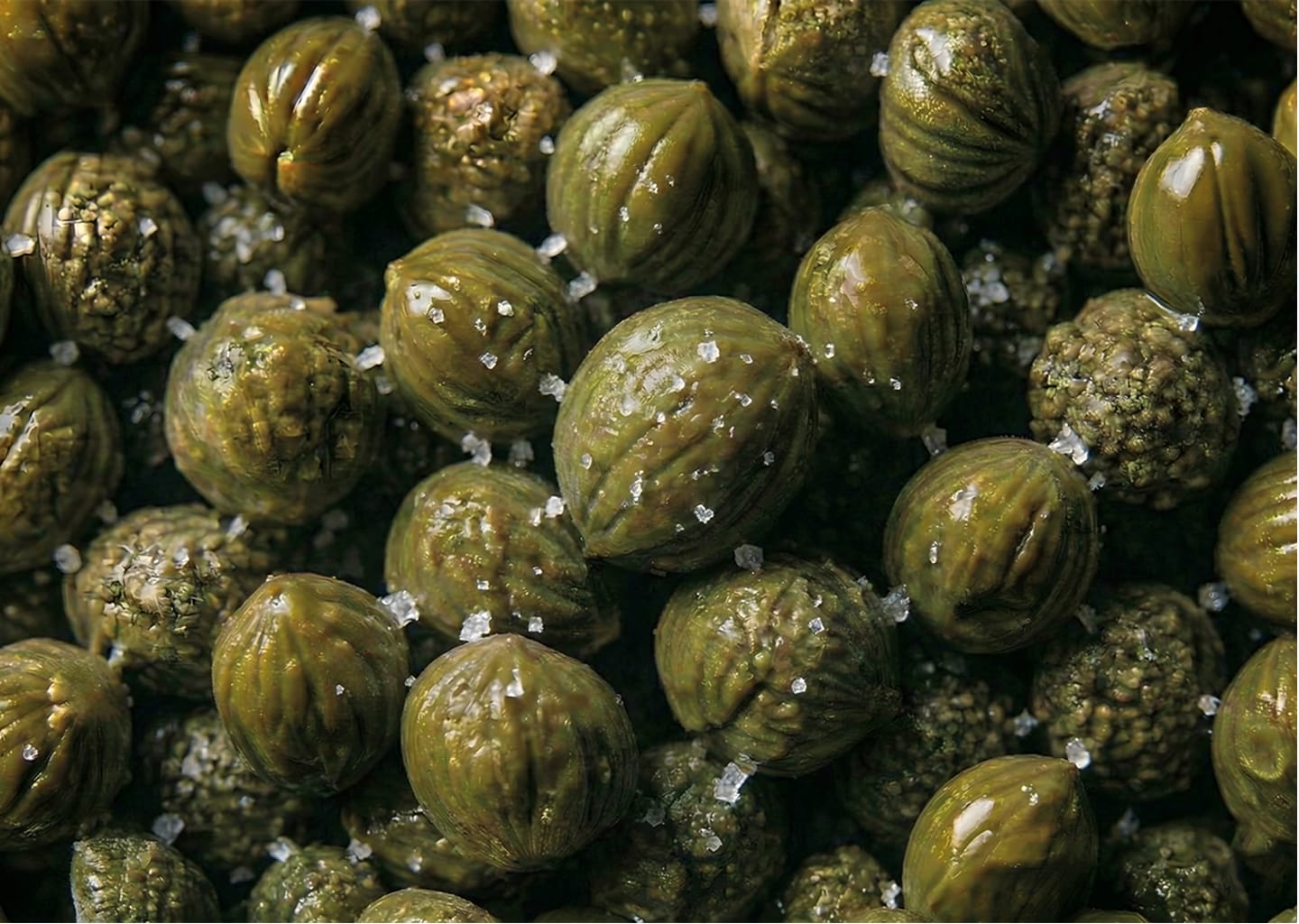 SALTED CAPERS 