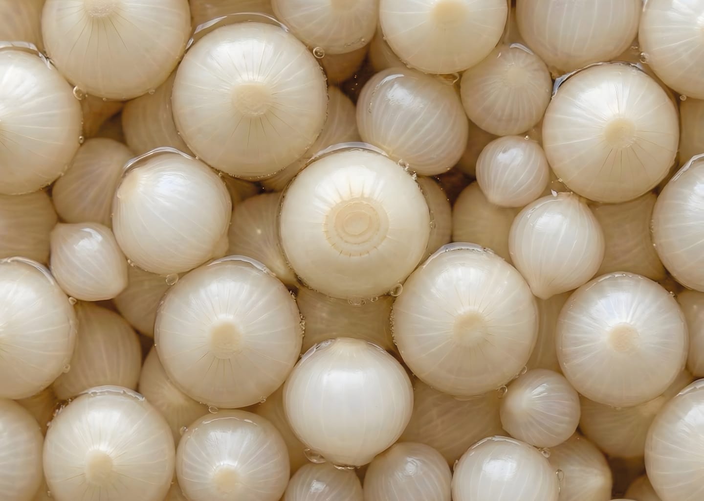 PICKLED ONIONS 