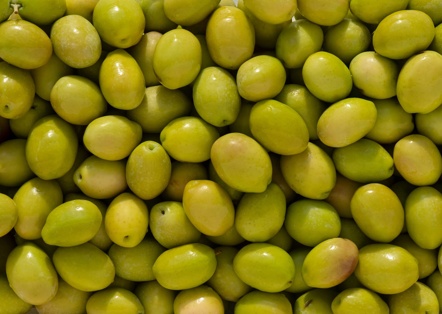 DOYPACK WHOLE GREEN OLIVES