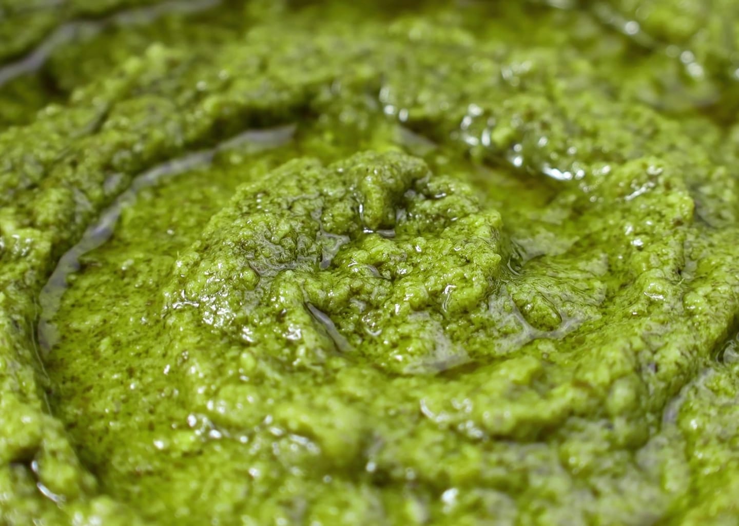 BROCCOLI RABE PESTO