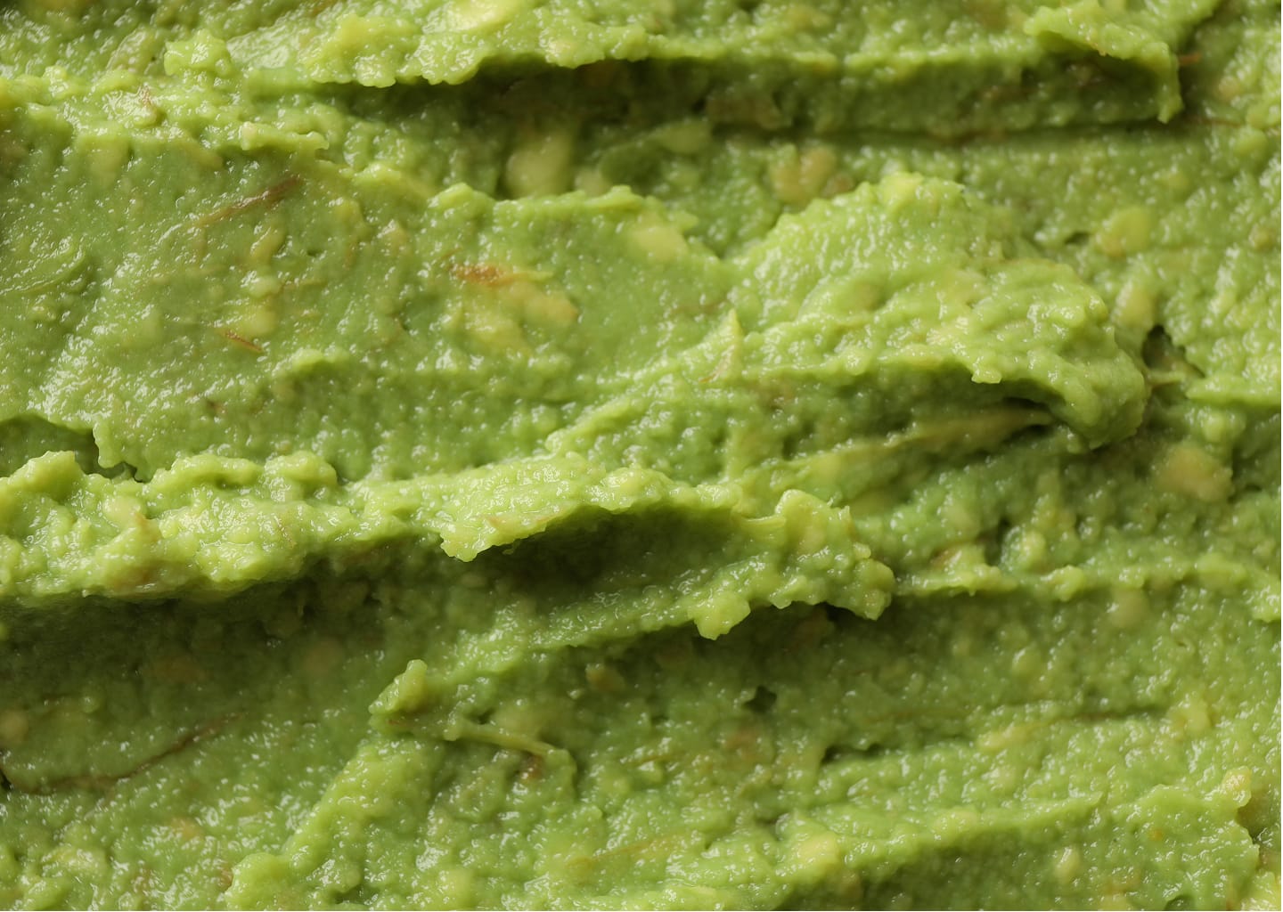 GUACAMOLE SAUCE WITH AVOCADO 