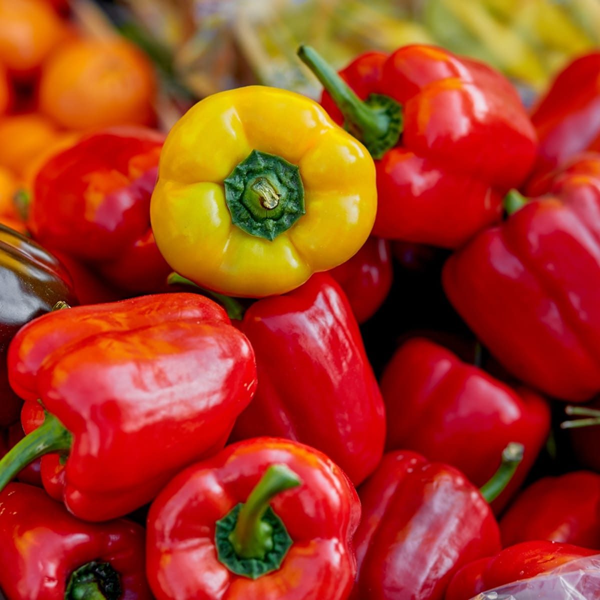 Ignite your culinary passion
